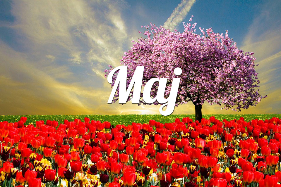Baran Maj 2026