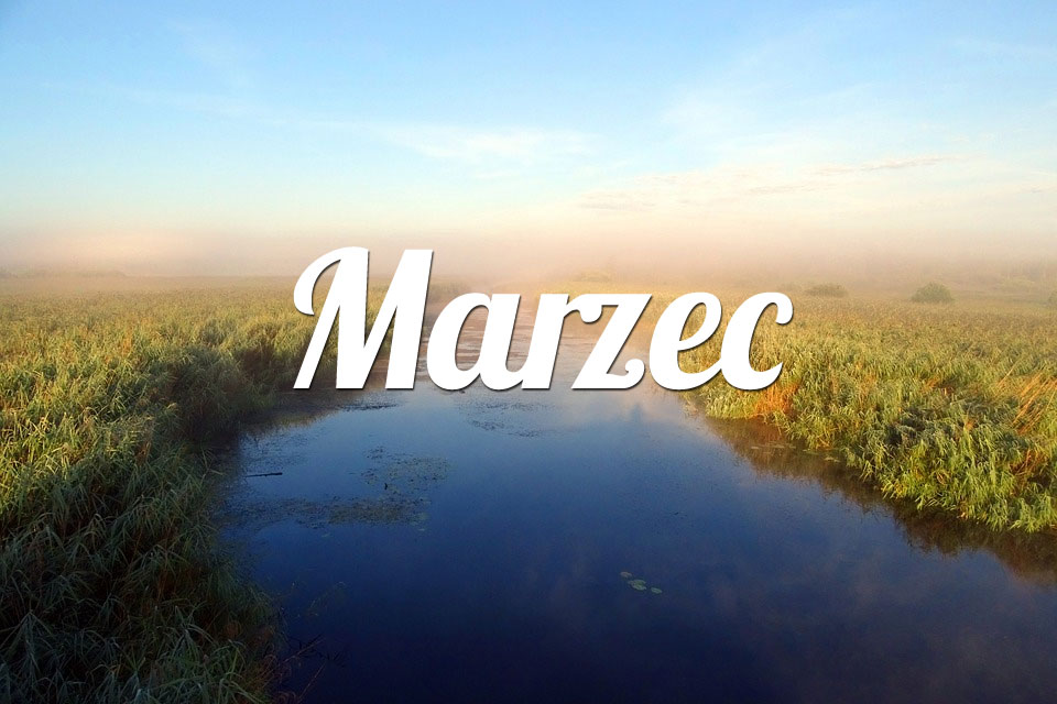 Baran Marzec 2026
